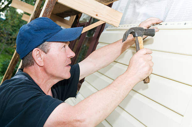 Best Vinyl Siding Installation  in Holden Heights, FL