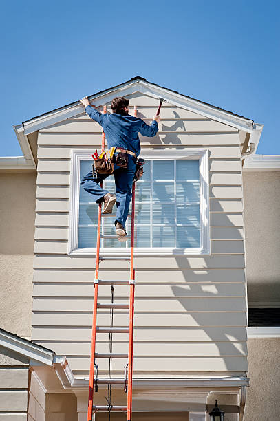 Best Stone Veneer Siding  in Holden Heights, FL